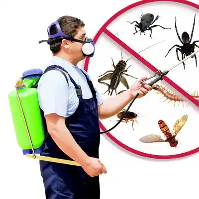 pest control Brusly